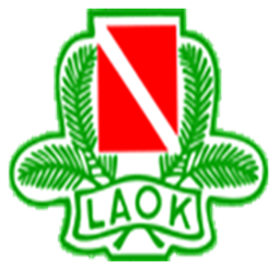 Ljusne-Ala OK
